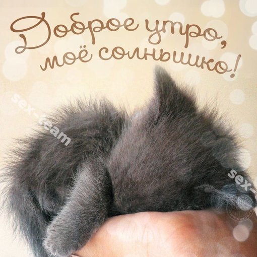 Нет