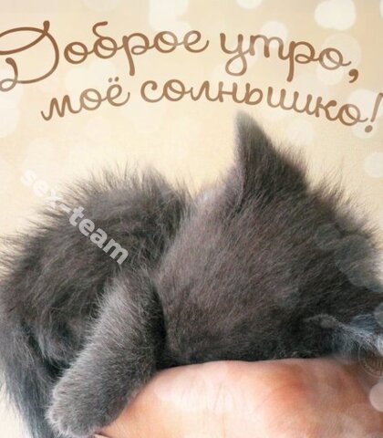 Проститутка Нет